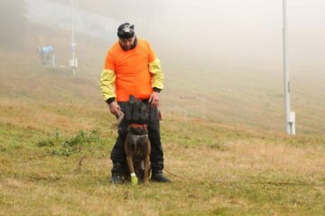 Două medalii de aur la „Cupa Clujului” la atelaje trase de câini au ajuns la Vatra Dornei