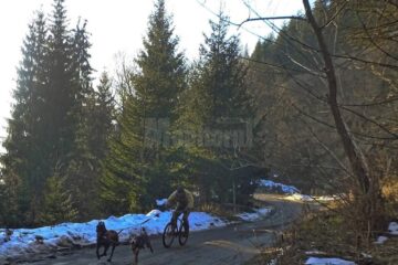Pascu a concurat împreună cu Erik, un ciobănesc belgian Malinois, și Ajak, un tânăr Husky Siberian aflat la prima competiție de acest gen