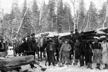 „Forestierii din Broșteni” „Forestierii din Broșteni”