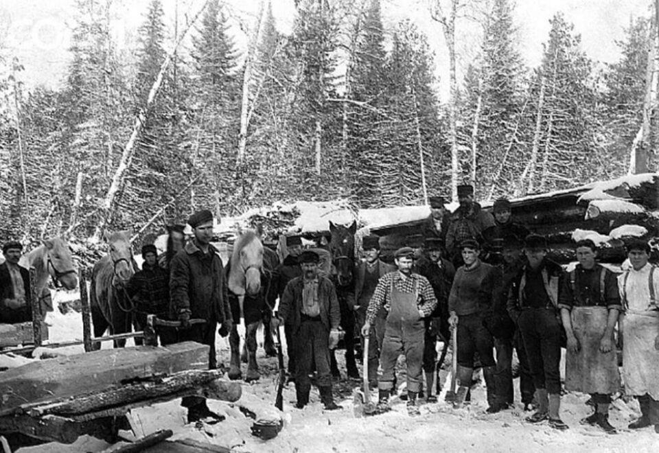 „Forestierii din Broșteni”