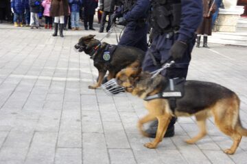 Mii de persoane au participat, la Suceava, la sărbătorirea Zilei Naționale a României