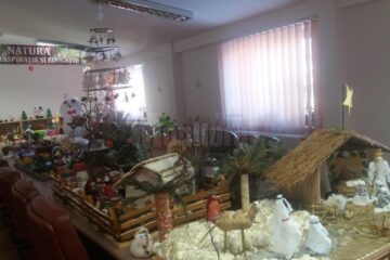 Cerc pedagogic al educatoarelor de la grădinițele ,,Gulliver” Suceava, Comănești, Pârtești și Bunești