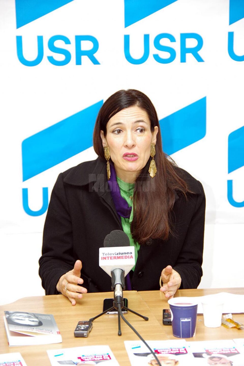 Clotilde Armand, vicepreședinte USR
