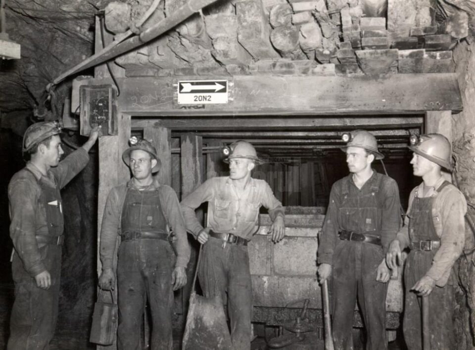 „Mangan prăjit” „Mangan prăjit”