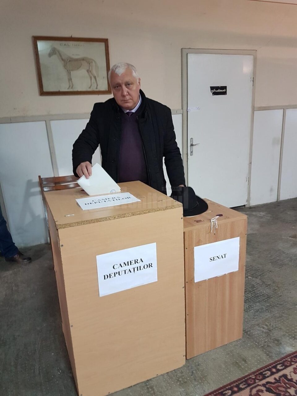 Paziuc: "Am votat pentru altfel de politică, pentru unitate, încredere și speranță, pentru o viață mai bună" Paziuc: "Am votat pentru altfel de politică, pentru unitate, încredere și speranță, pentru o viață mai bună"