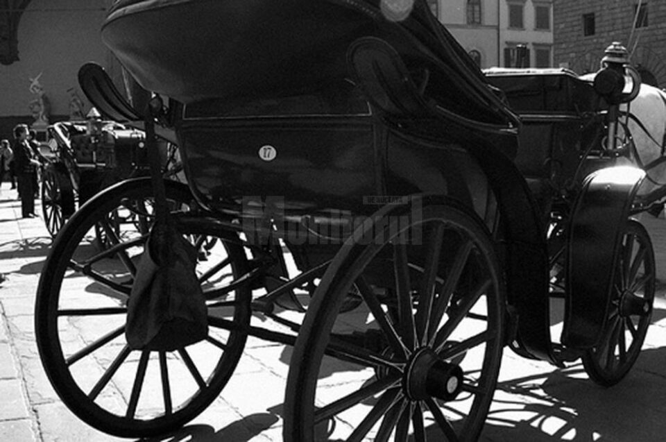 „Conducătoare” la școala de fete „Conducătoare” la școala de fete