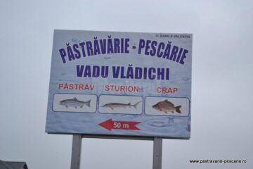 Delicii pe mesele sucevenilor cu ocazia sărbătorilor: sturionul siberian, provenit dintr-o crescătorie de lângă Rădăuți