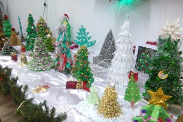 Expoziția "Lumea brăduților de Crăciun” va fi găzduită de Ocolul Silvic Adâncata