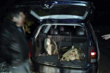 Braconierii își fac de cap în zona Câmpulung Moldovenesc