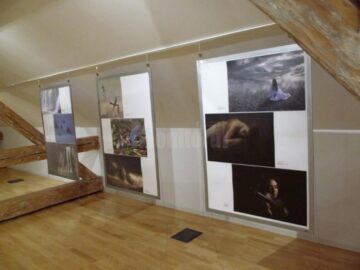 Salonul Internațional de Artă Fotografică „Bucovina - Mileniul III”