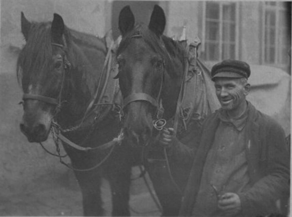 „Cai de curse” „Cai de curse”