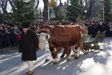 Festivalul tradițiilor populare de iarnă, o colecție impresionantă de obiceiuri din întreaga Bucovină