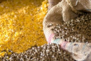 „Fabrica de nutrețuri combinate”