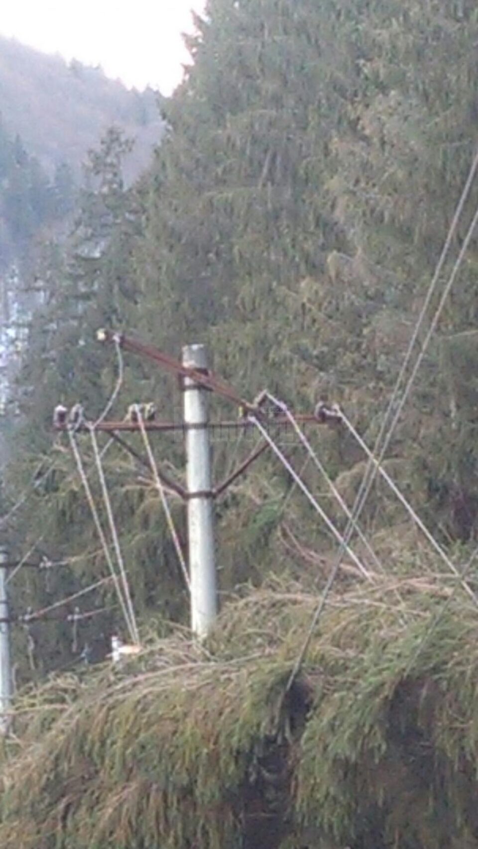 Peste 5.000 de consumatori au rămas fără curent electric, din cauza vântului puternic