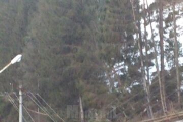 Peste 5.000 de consumatori au rămas fără curent electric, din cauza vântului puternic