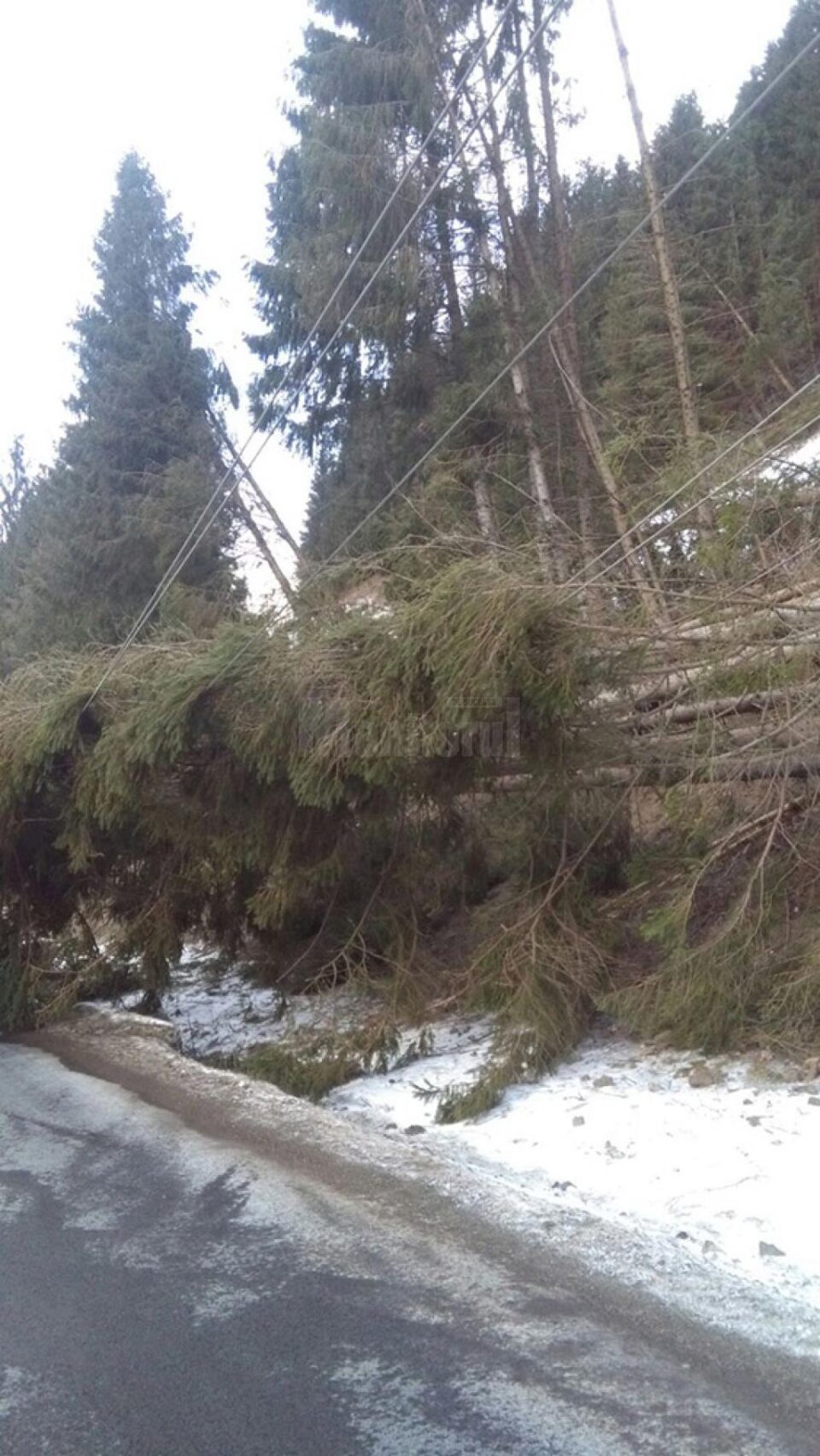 Vântul puternic a lăsat peste 5.000 de consumatori fără curent electric