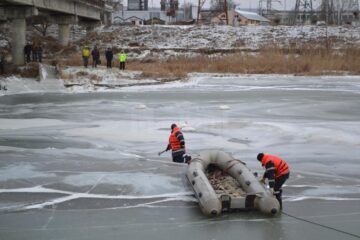 Intervenția pentru salvarea lebedelor de pe râul Suceava a continuat sâmbătă