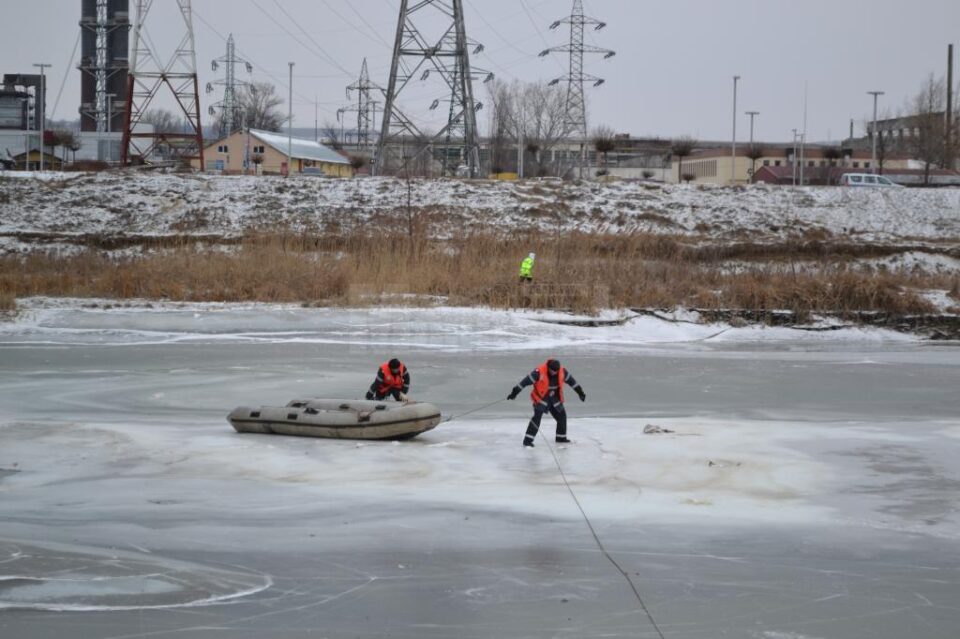 Intervenția pentru salvarea lebedelor de pe râul Suceava a continuat sâmbătă
