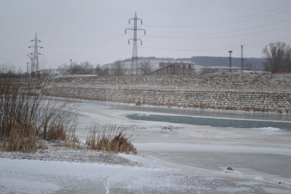 Intervenția pentru salvarea lebedelor de pe râul Suceava a continuat sâmbătă