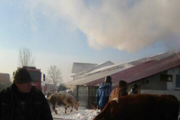 Ferma afectată de incendiu