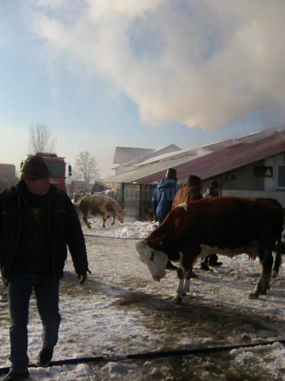 Ferma afectată de incendiu