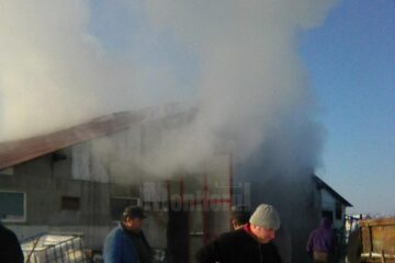 Incendiul a pornit din interiorul fermei