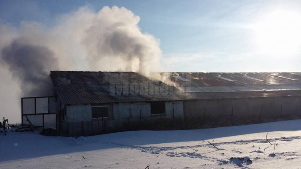 Incendiu puternic într-o fermă, de la soba pentru încălzirea animalelor