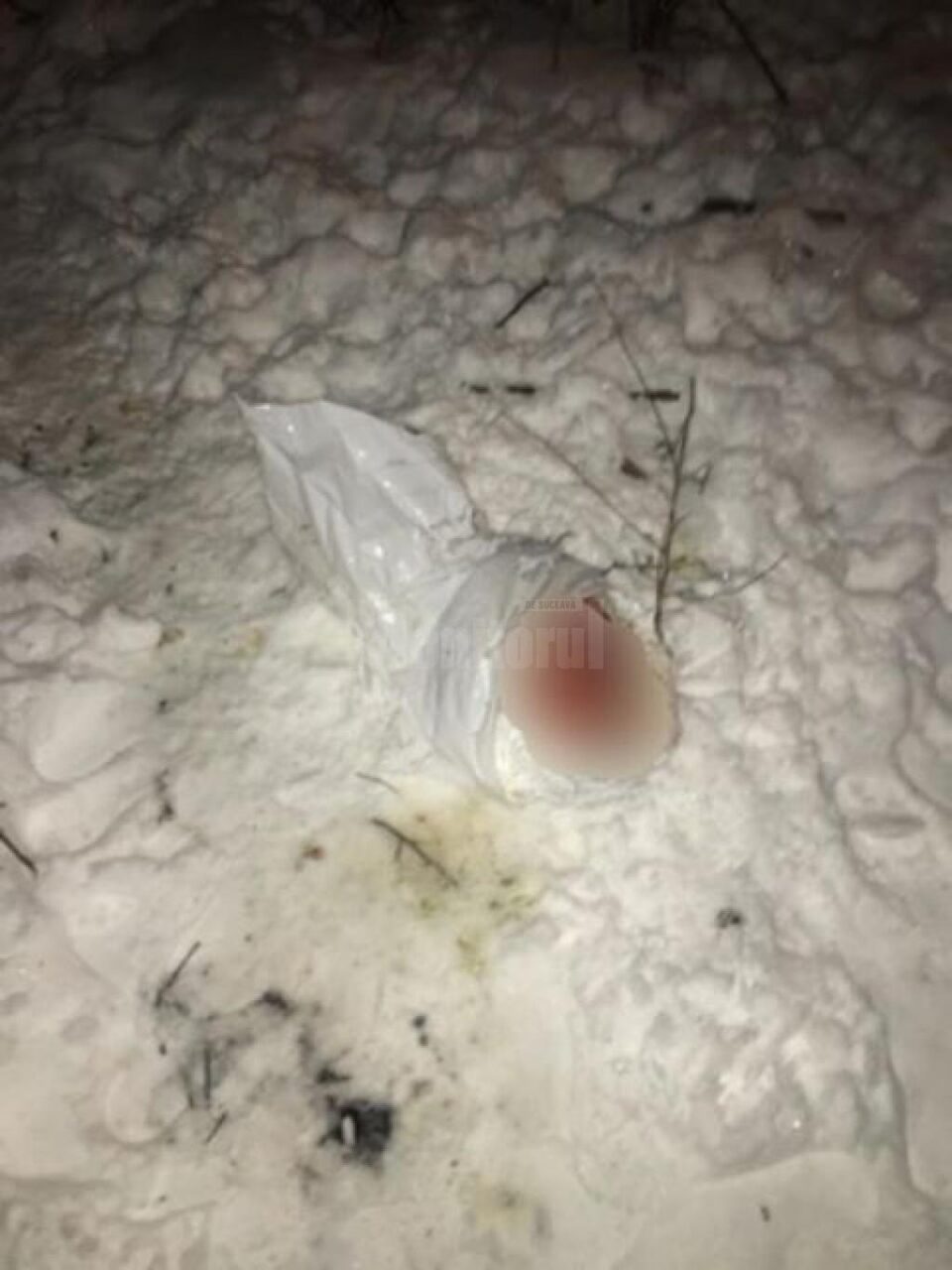 Bebeluș găsit înghețat și mușcat de câini, în apropiere de Gara Burdujeni