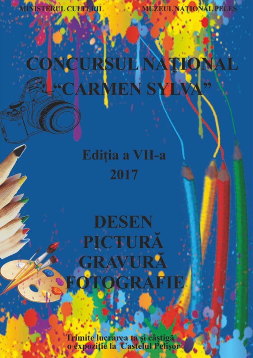 Concursul Național „Carmen Sylva” 2017