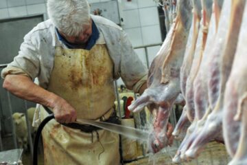Se pot înființa unități de abatorizare locale, unde micii fermieri vor putea să-și sacrifice animalele din fermele proprii