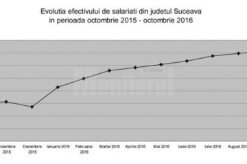 Creșteri importante ale numărului de suceveni angajați, dar și ale salariilor acestora