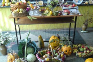 Organizatorii au promis că acest concurs nu se va opri prima ediție