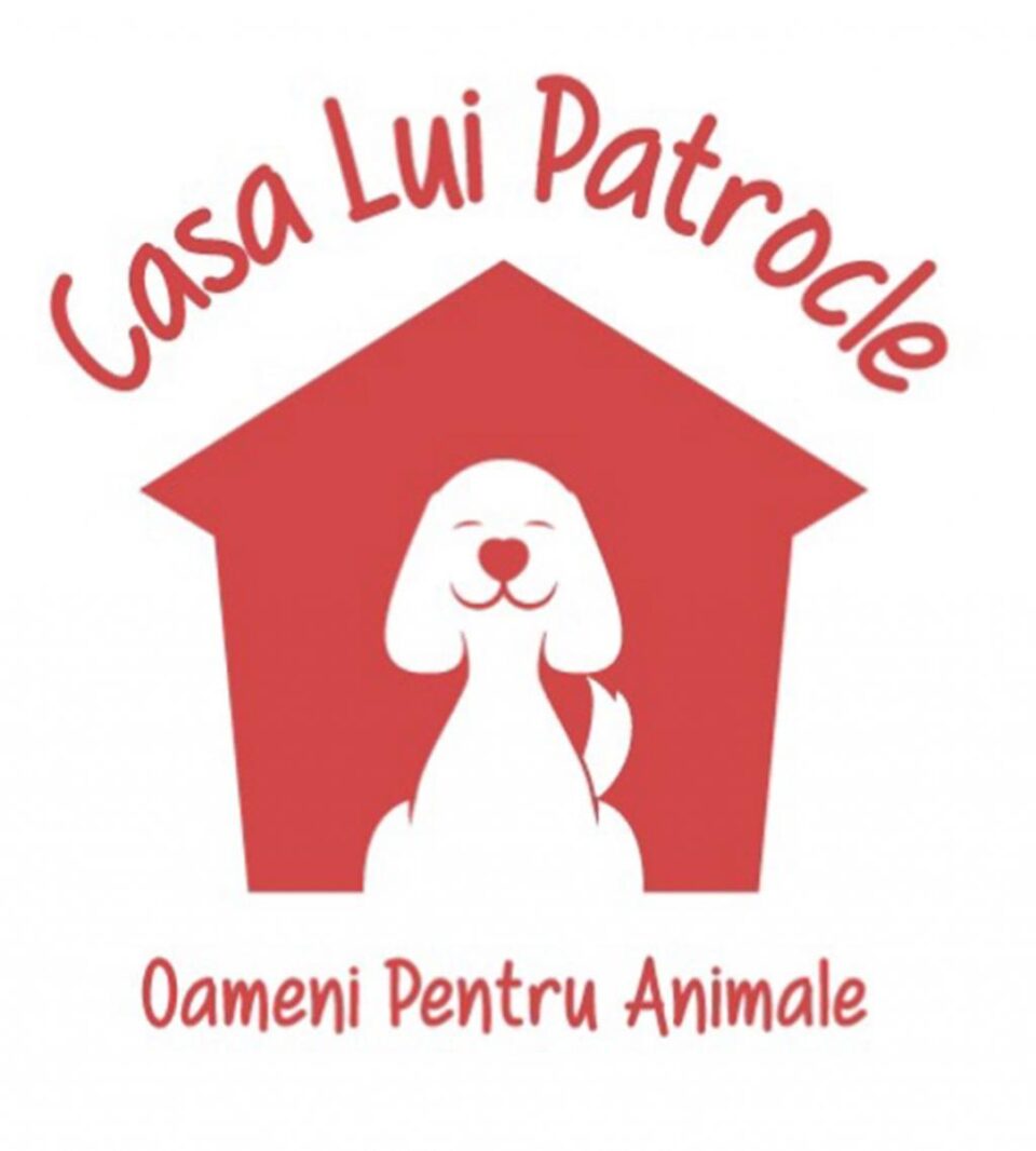 Câini sterilizați gratuit într-o acțiune organizată de Asociația ”Casa lui Patrocle”