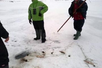 Au fost găsite și confiscate 12 plase pentru braconaj, întinse pe cursul apei