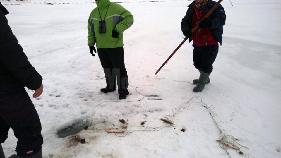 Au fost găsite și confiscate 12 plase pentru braconaj, întinse pe cursul apei