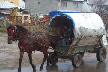 În interiorul căruței oprite de polițiști au fost găsite cele 3 utilaje sustrase de la sediul firmei