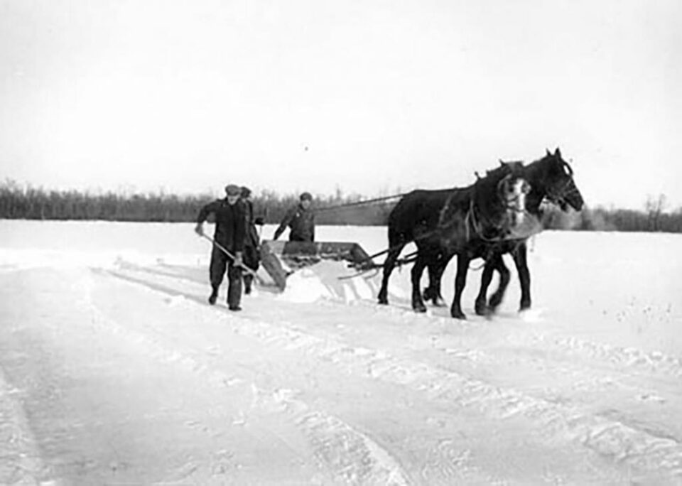 „Deszăpezirea” „Deszăpezirea”