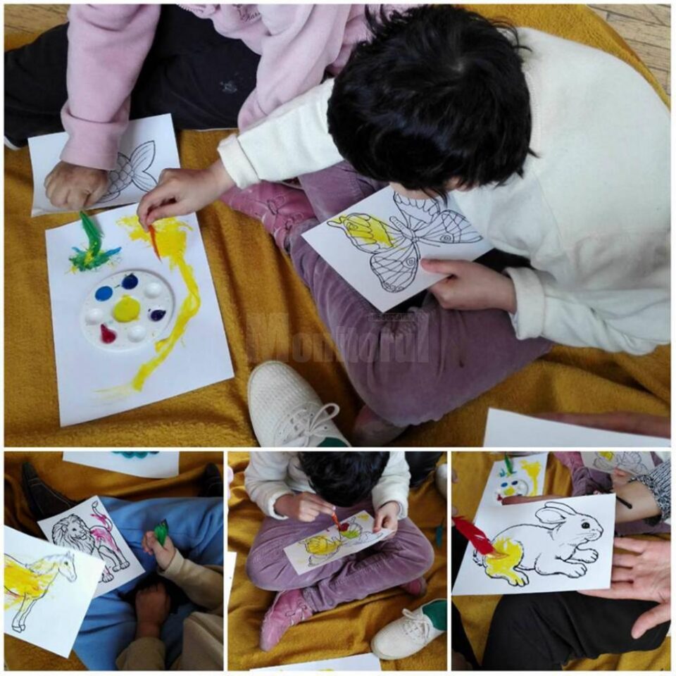 Apel la voluntariat pentru educația copiilor din centrele de plasament din județ