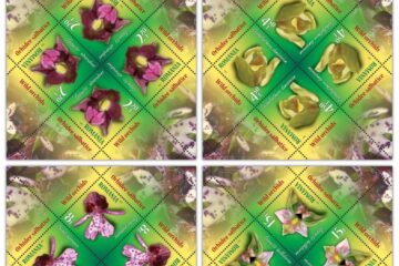 „Orhidee sălbatice”, în filatelia românească