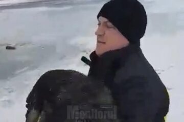 Salvarea unui câine care rămăsese blocat în apa înghețată a râului Moldova, în cartierul Voroneț