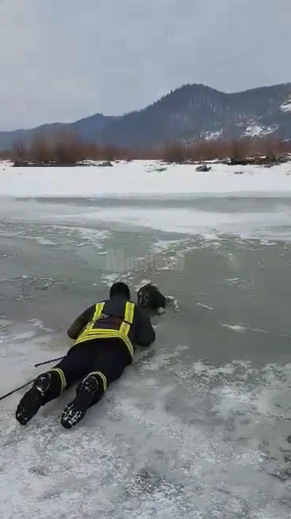 Salvarea unui câine care rămăsese blocat în apa înghețată a râului Moldova, în cartierul Voroneț
