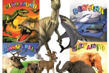 „Pași spre cunoaștere”