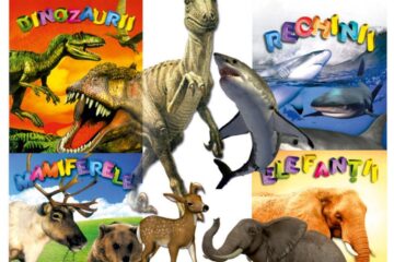 „Pași spre cunoaștere”, la Muzeul de Științele Naturii, în vacanța intersemestrială