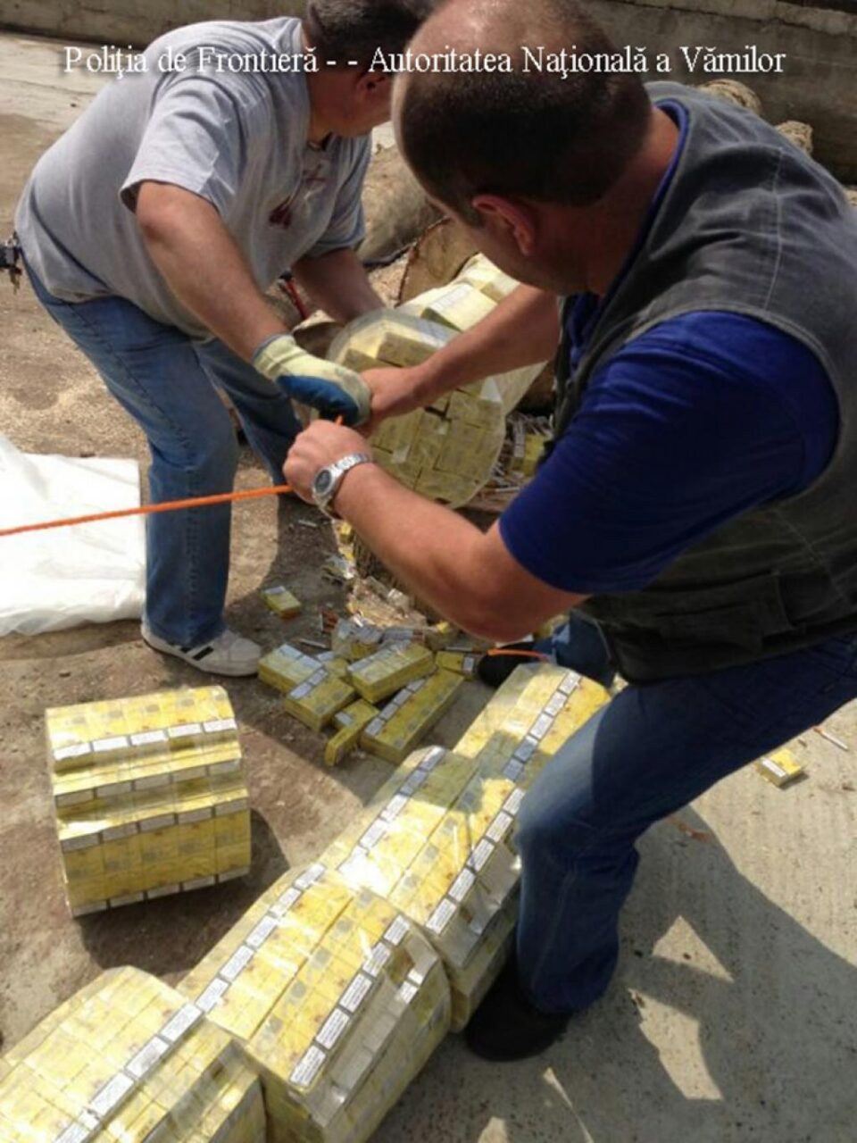 Cele peste 100.000 de pachete de țigări de contrabandă aduse în România din Ucraina într-un transport de bușteni Cele peste 100.000 de pachete de țigări de contrabandă aduse în România din Ucraina într-un transport de bușteni
