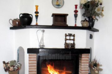 Termoșeminee moderne care asigură încălzirea întregii locuințe, dar și apă caldă