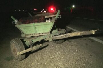 Căruța nesemnalizată în nici un fel a fost observată târziu de șoferul autoturismului, care a izbit-o în plin