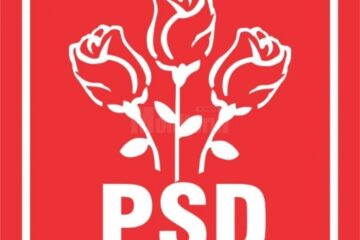 Social-democrații suceveni creditează în continuare Guvernul condus de premierul Sorin Grindeanu