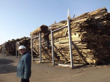 Constantin Plăcintă, directorul Bioenergy: 90% din ce vom folosi sunt deșeuri de biomasă