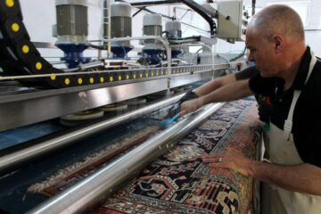 12 perii curăță simultan covoarele