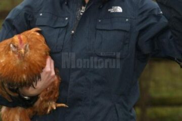 Individul a furat mai multe găini și porumbei din gospodăriile unor femei din Frătăuții Noi